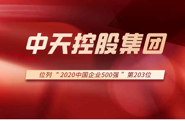 控股集团列2020中国企业500强第203位！